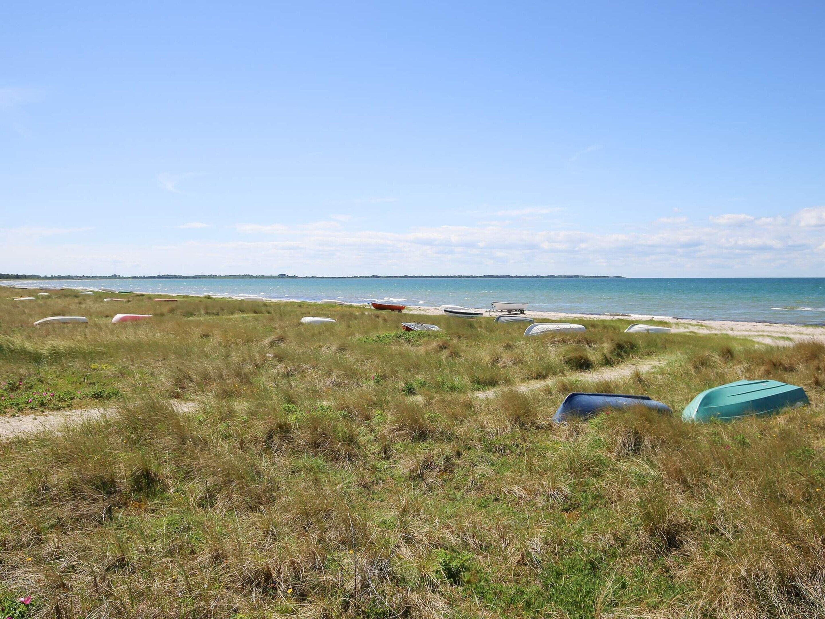 A grassy beach area with several boats and a clear sky.
