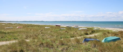 A grassy beach area with several boats and a clear sky.