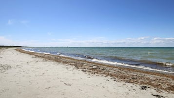 A beach with a sandy shore and a calm sea.