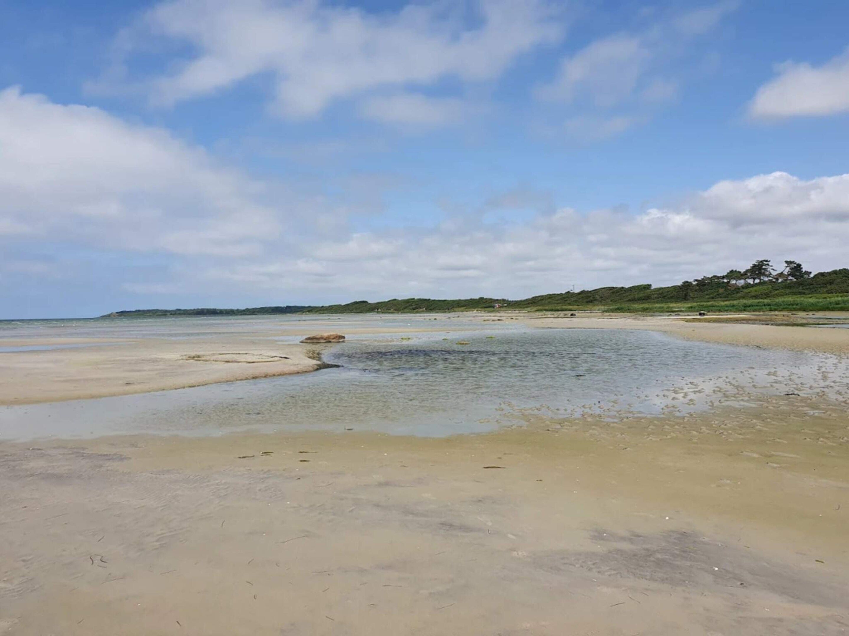 A beach with clear water, a sandy shore, and distant greenery.
