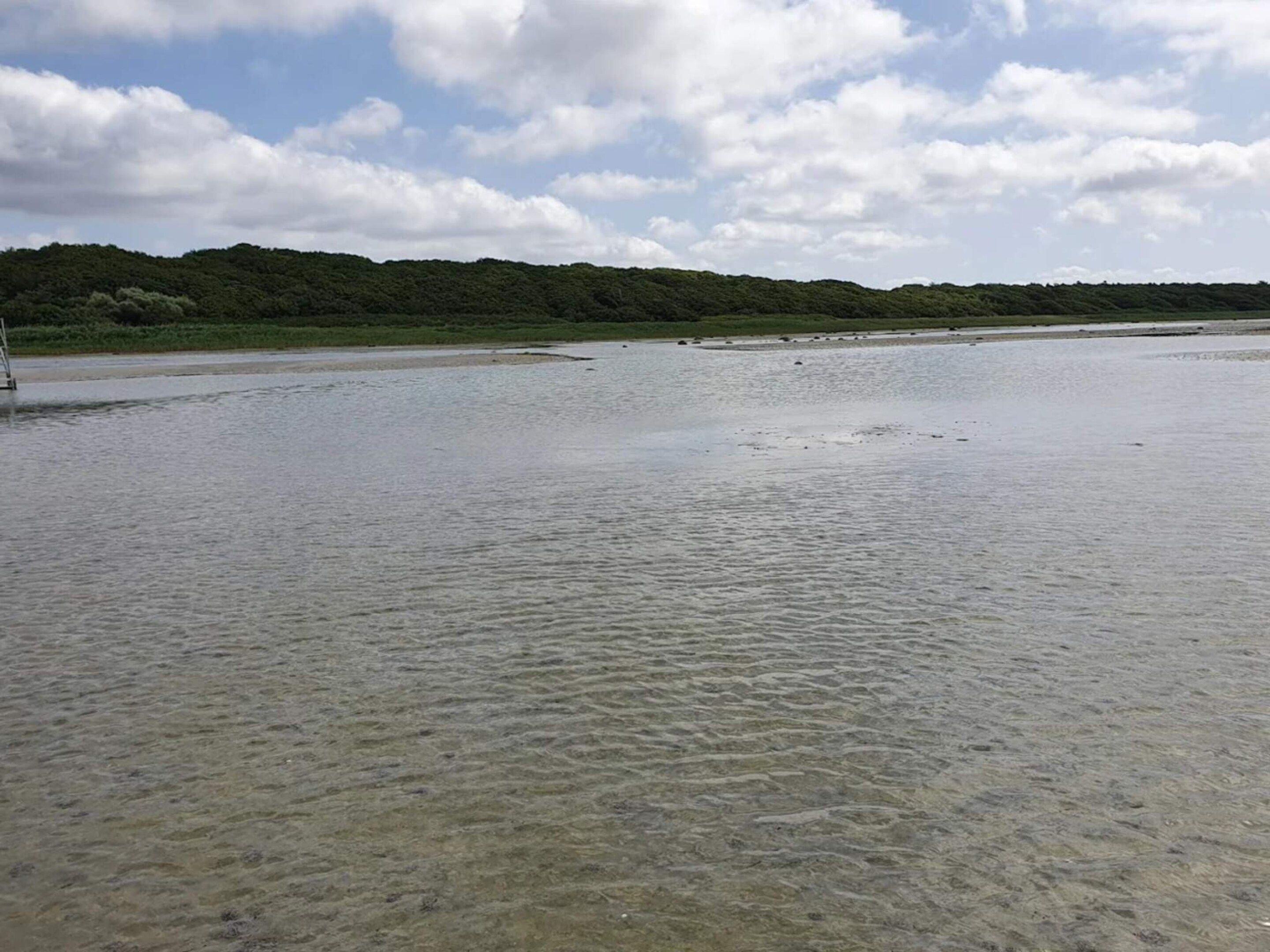 수변 전망