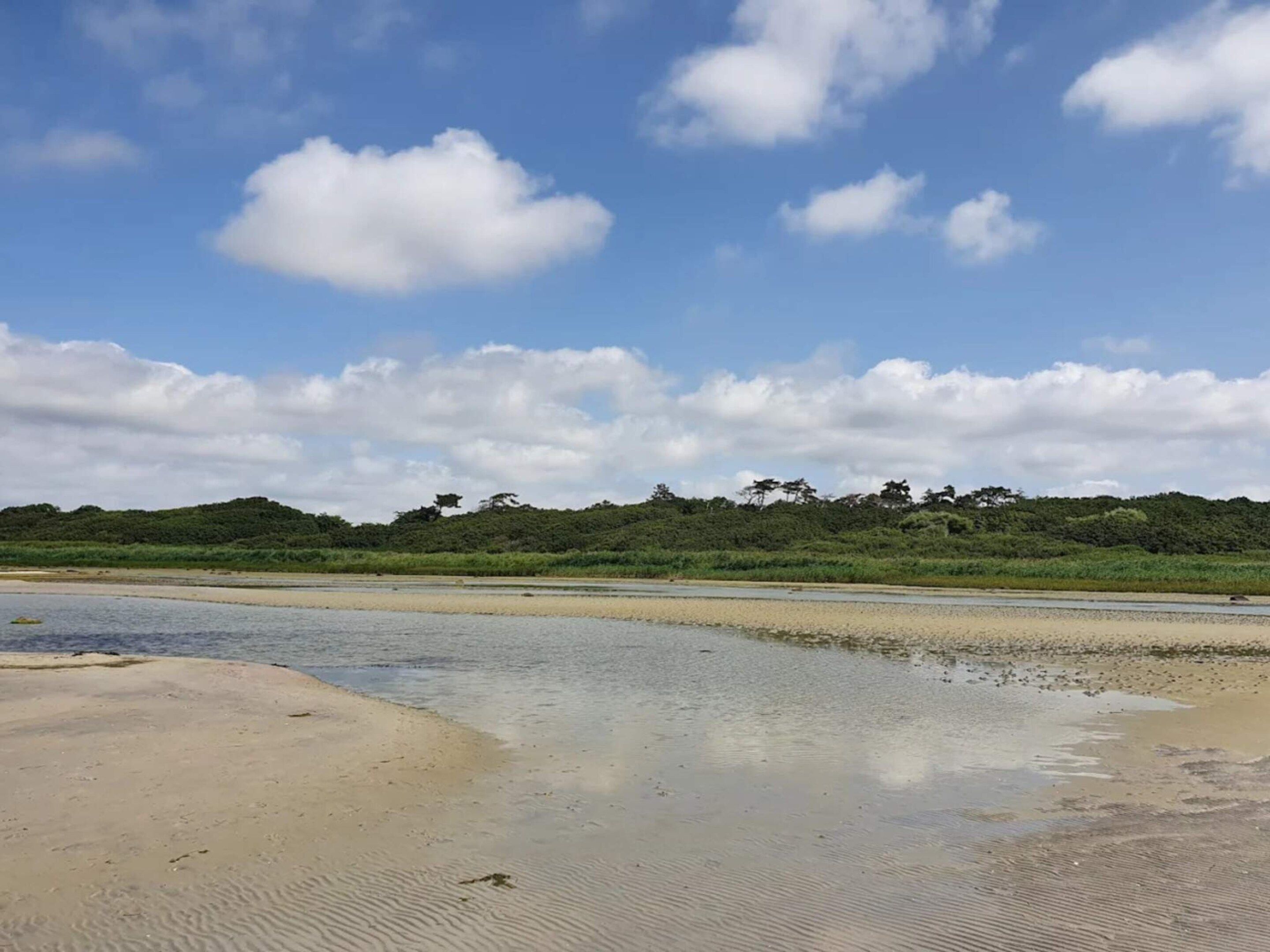 A beach with a sandy shore, calm water, and a forested hill in the background.