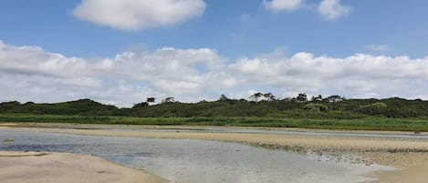 A beach with a sandy shore, calm water, and a forested hill in the background.
