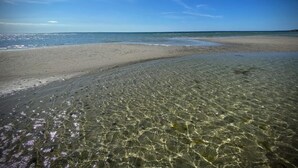 A beach with clear shallow waters, a sandy shore, and a distant horizon. - 5 Star Holiday Home in Jaegerspris (Jægerspris)
