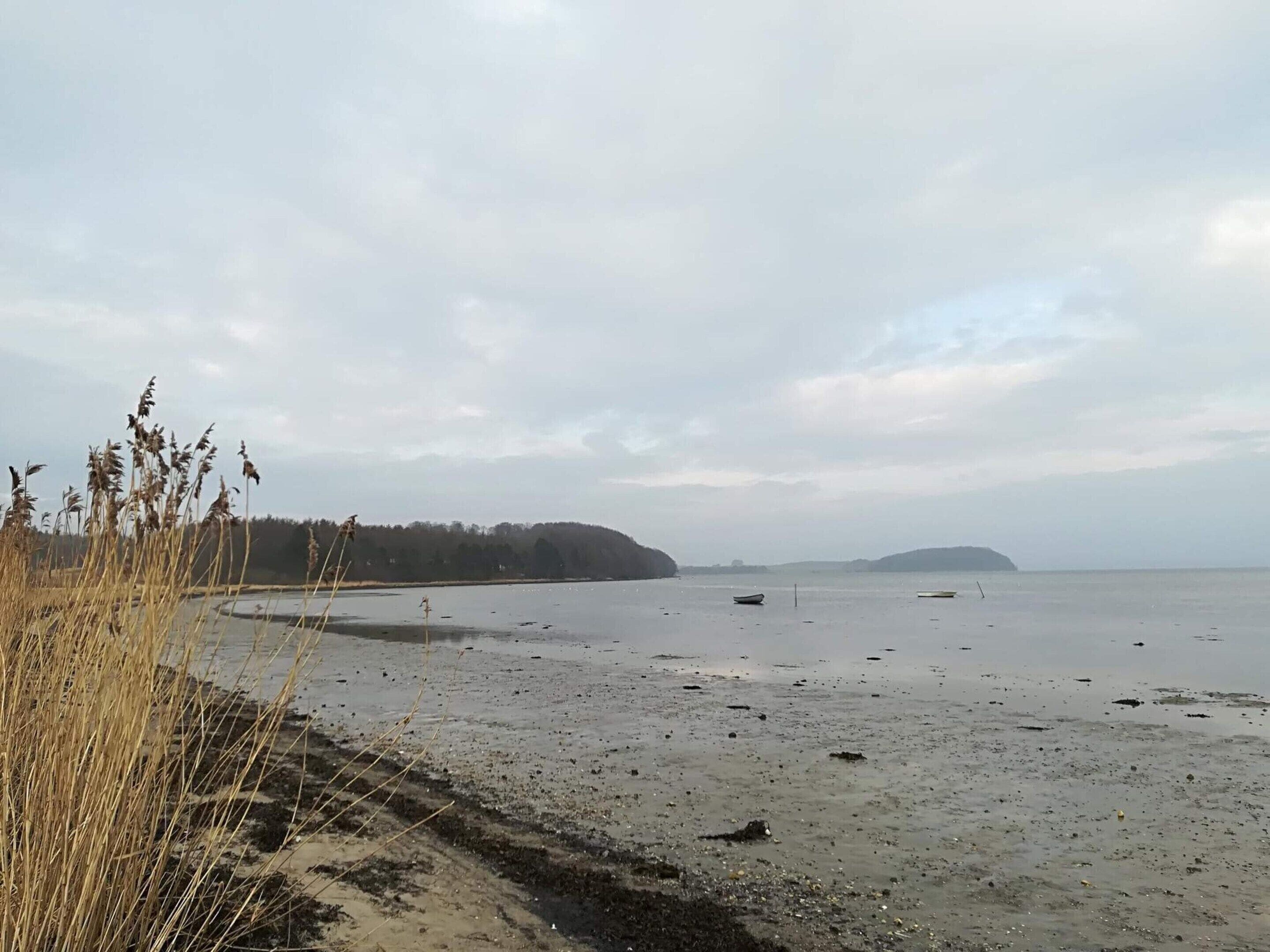 A beach with a sandy shore, some vegetation, and distant hills.