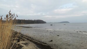 A beach with a sandy shore, some vegetation, and distant hills. - 4 Person Holiday Home in Ega (Aarhus)