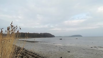A beach with a sandy shore, some vegetation, and distant hills.