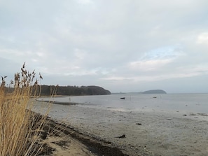 Una platja amb sorra, vegetació i turons a la distància.
