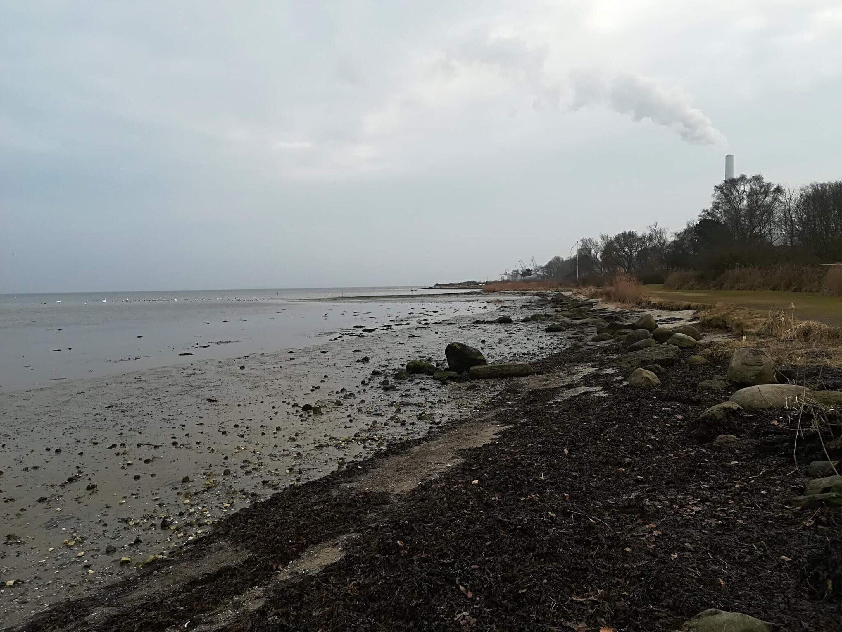 A coastal landscape with a rocky shoreline, a body of water, and a distant smokestack emitting smoke.