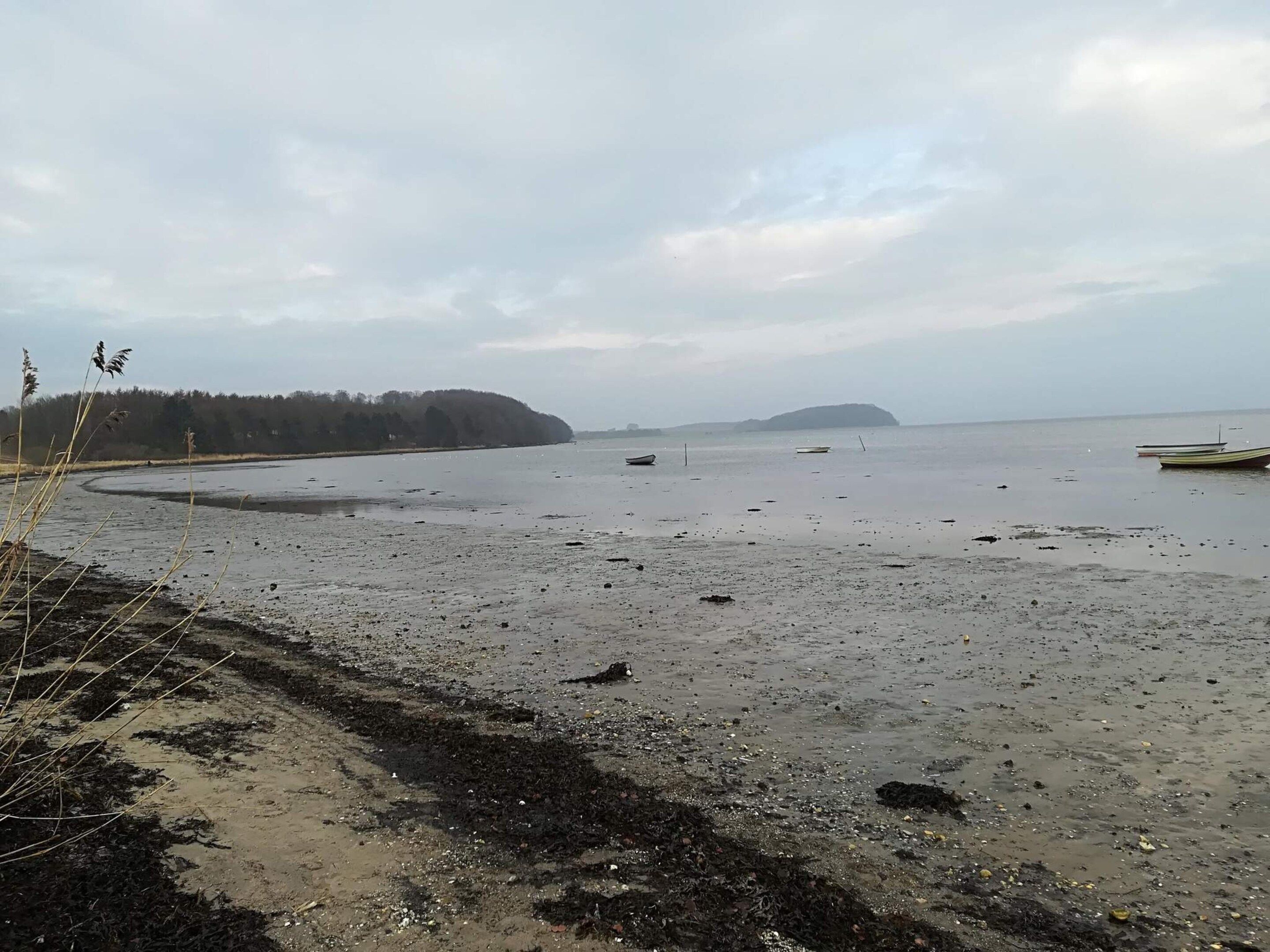 A beach with boats, a forested area, and a distant island.
