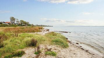 A coastal landscape with a sandy beach, grassy dunes, and a distant view of houses along the shoreline.