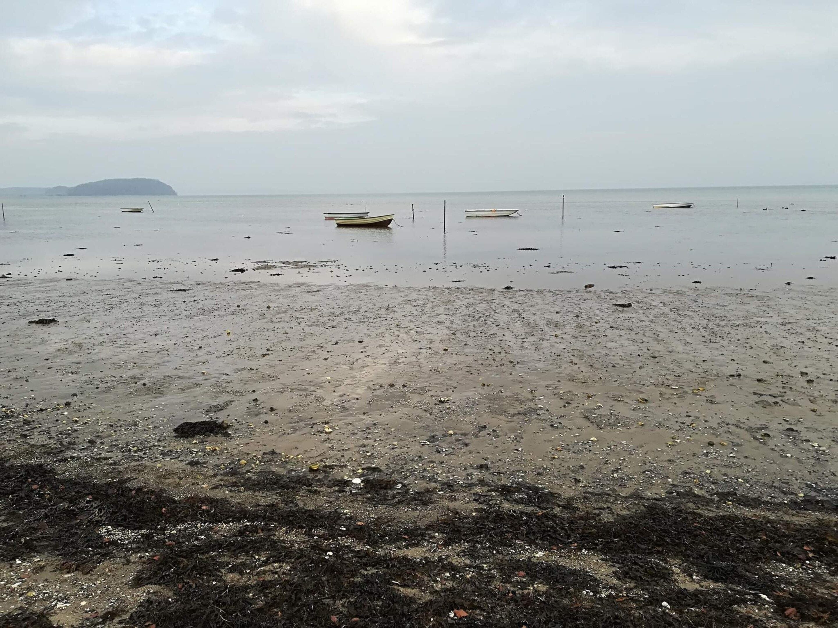 A beach with boats and a distant island.