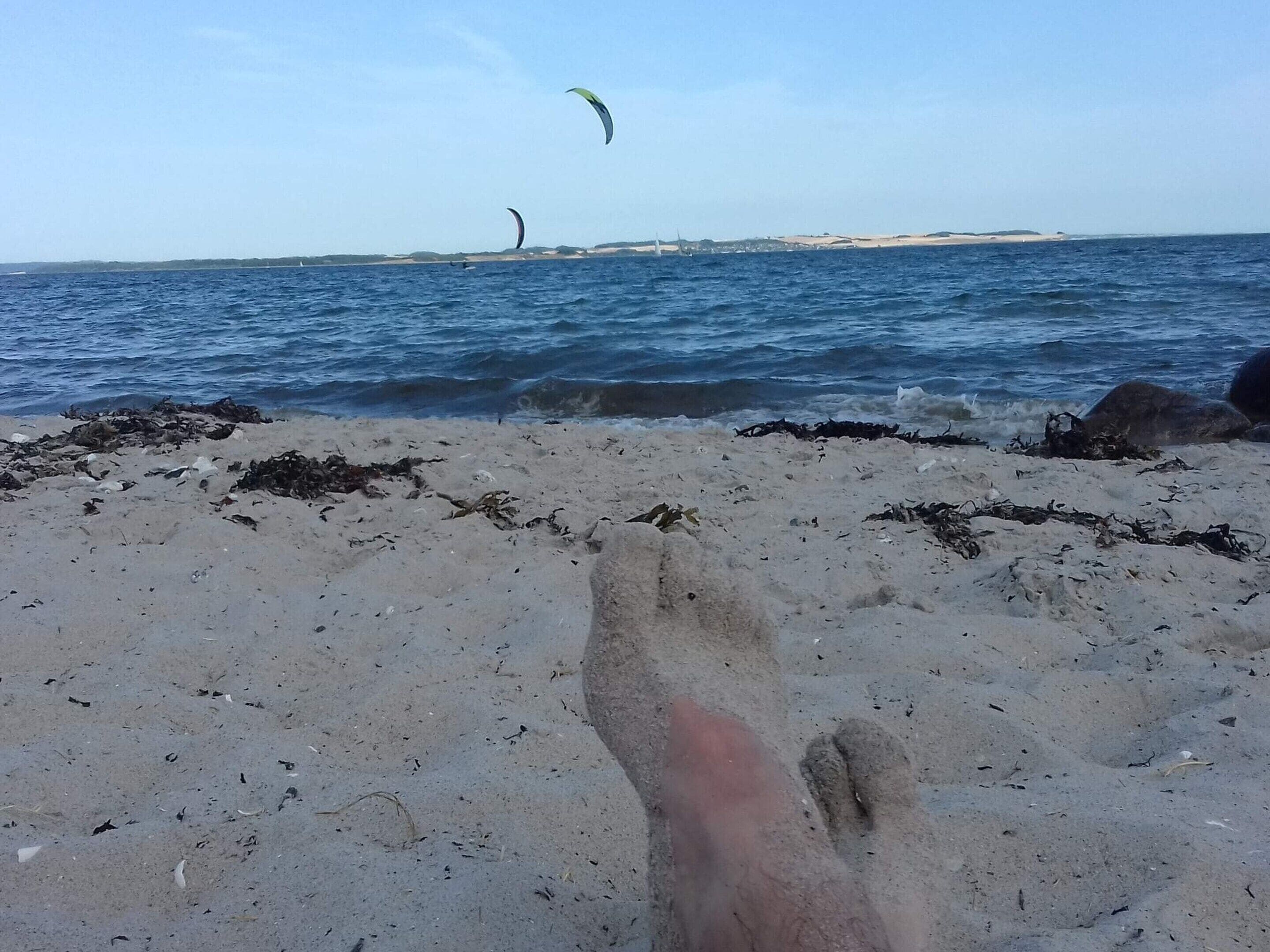 Una playa arenosa con algas marinas y vista al mar.