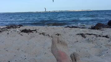 Una playa arenosa con algas marinas y vista al mar.