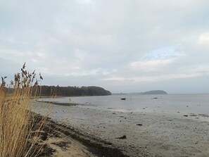 A beach with a sandy shore, some vegetation, and distant hills. - 4 Person Holiday Home in Ega (Aarhus)