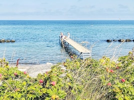 House | Property grounds