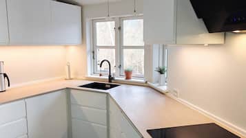 Una cocina moderna con armarios blancos, un lavamanos negro y una ventana con plantas en macetas.