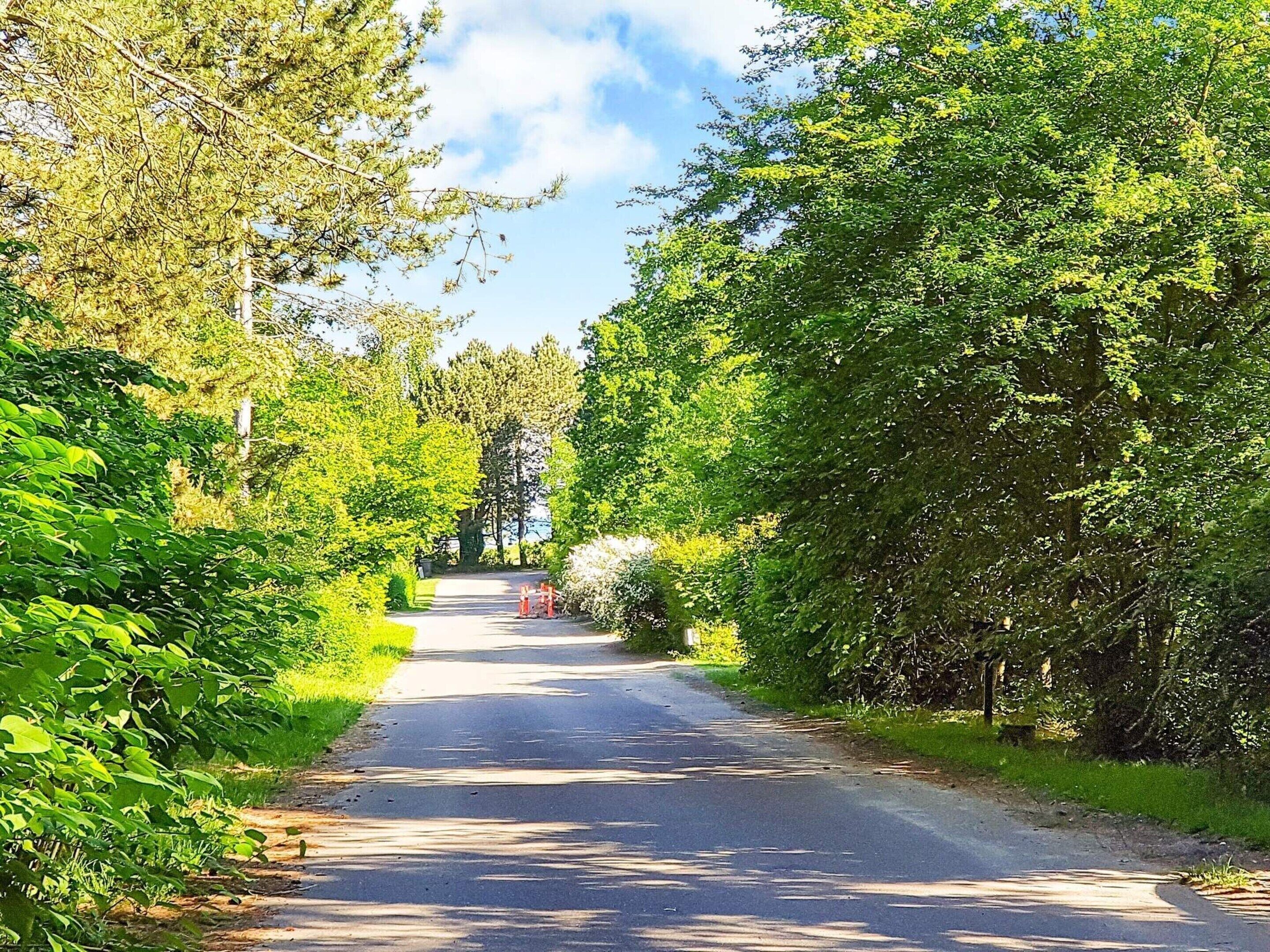 Une route étroite bordée d’une végétation luxuriante, qui mène à une zone boisée.