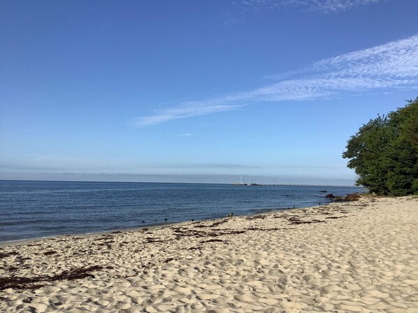Casa | Vista desde la propiedad