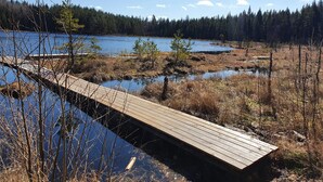 Un pont en bois enjambant une étendue d’eau, avec une forêt en arrière-plan.