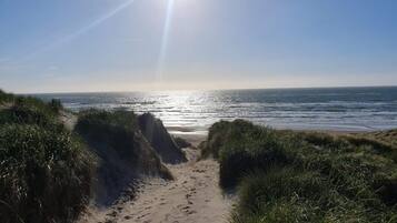Caminho de areia que leva ao oceano, com grama em ambos os lados.