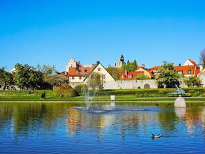 Un parc paisible avec une fontaine, un canard qui nage et, en arrière-plan, des bâtiments historiques.