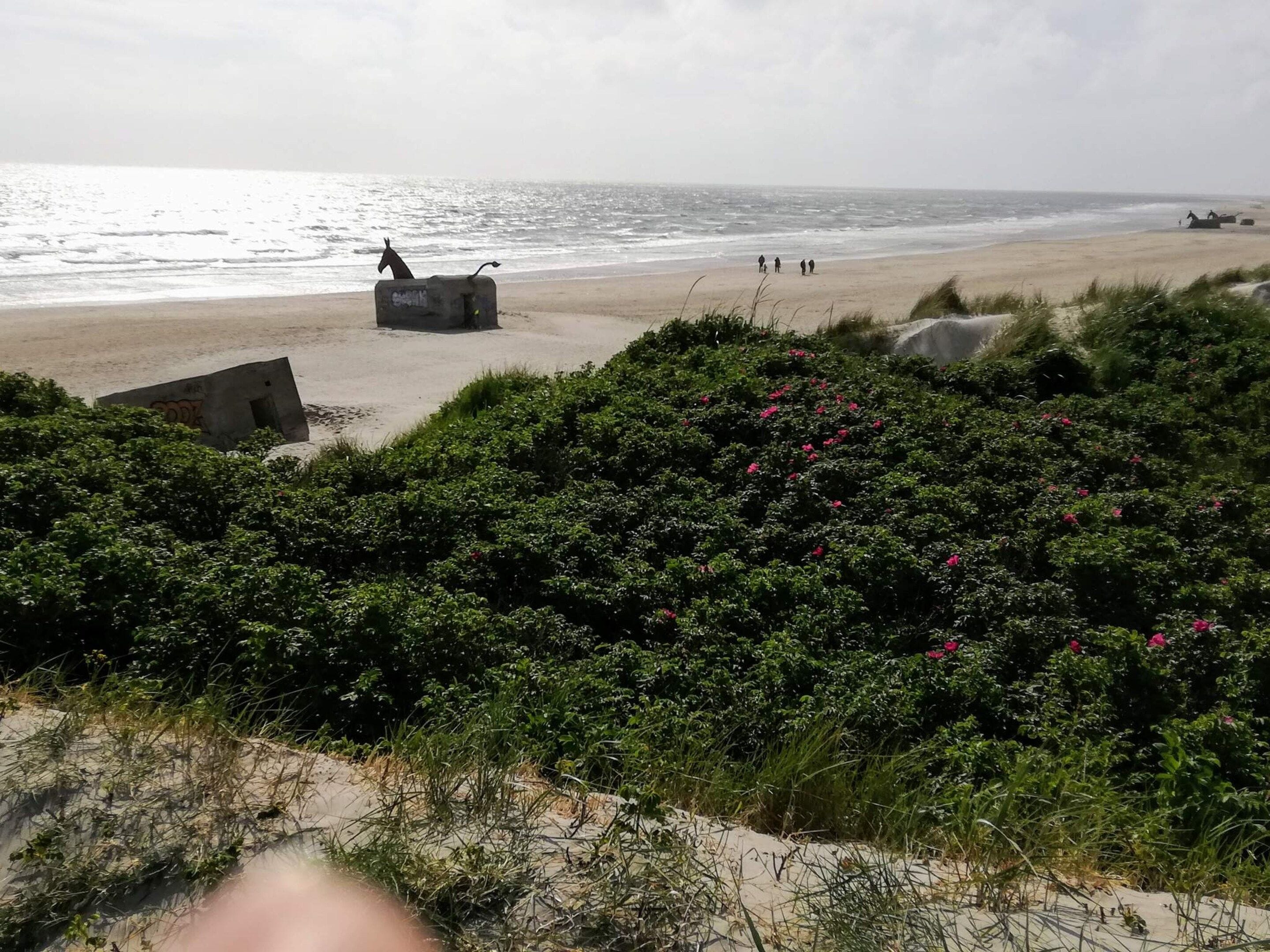 A beach with a concrete structure, some greenery, and the ocean in the background.