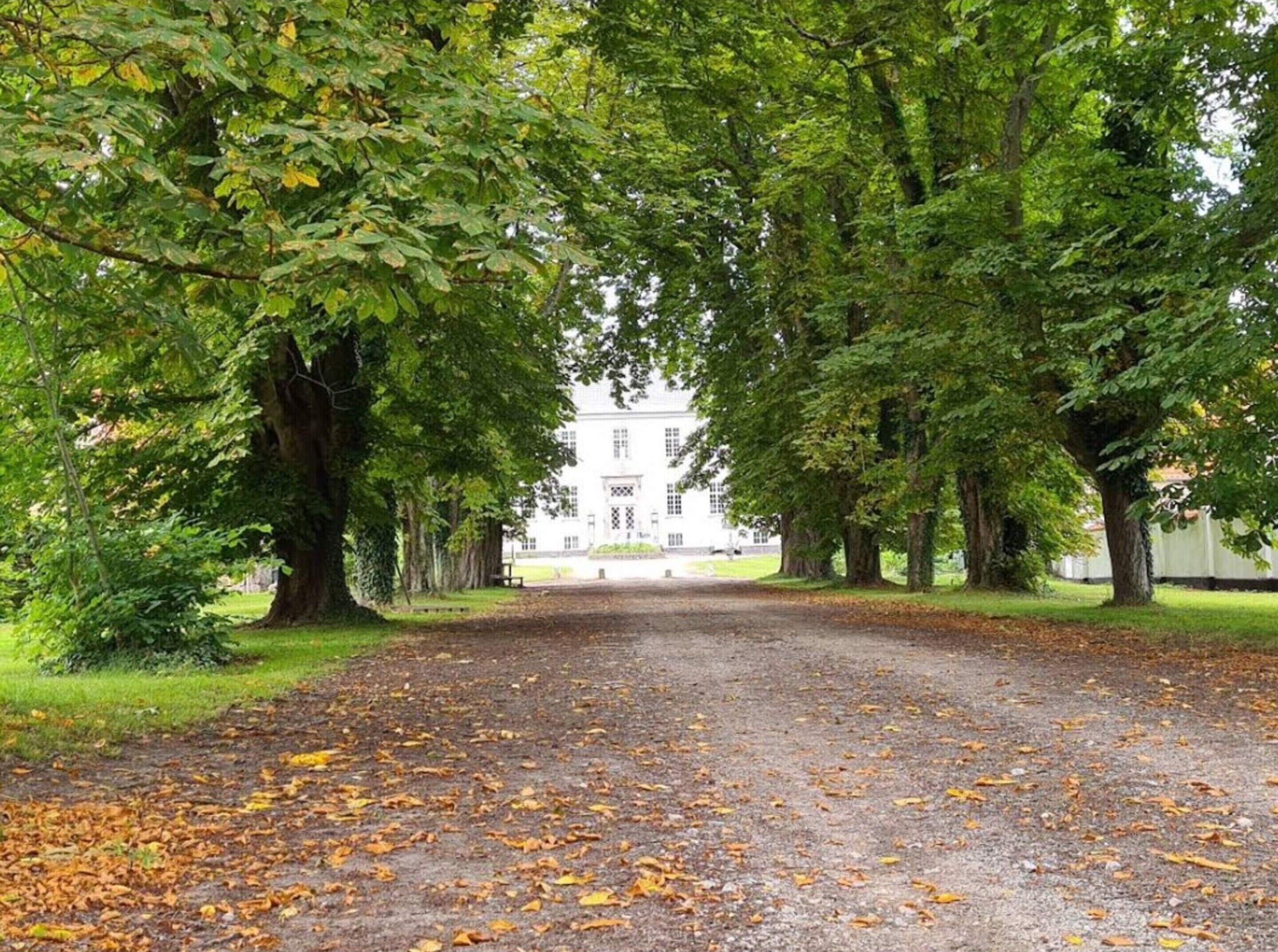 House | Property grounds