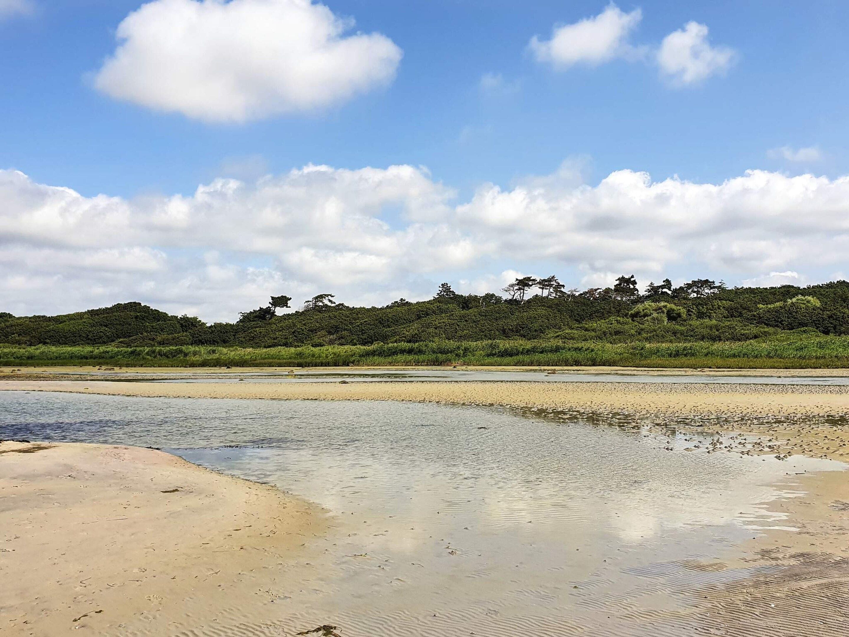 Une plage avec un rivage sablonneux et une étendue d’eau calme.