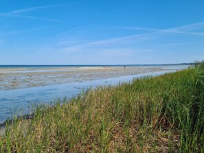 A coastal landscape with a beach, grassy dunes, and a clear sky.