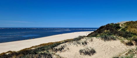 A beach with a clear sky, sandy dunes, and a path leading to the water.