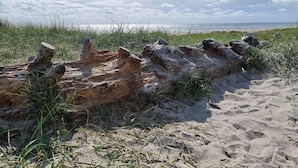 A sandy beach with a large fallen tree trunk and grass. - 8 Person Holiday Home in Blavand (Blavand)