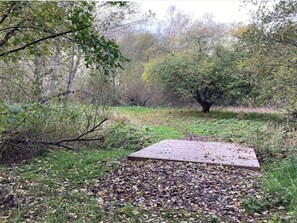 House | Property grounds