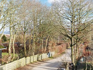 A narrow rural road flanked by leafless trees and a wooden fence.