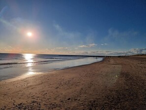 A beach with a clear sky and the sun low on the horizon.