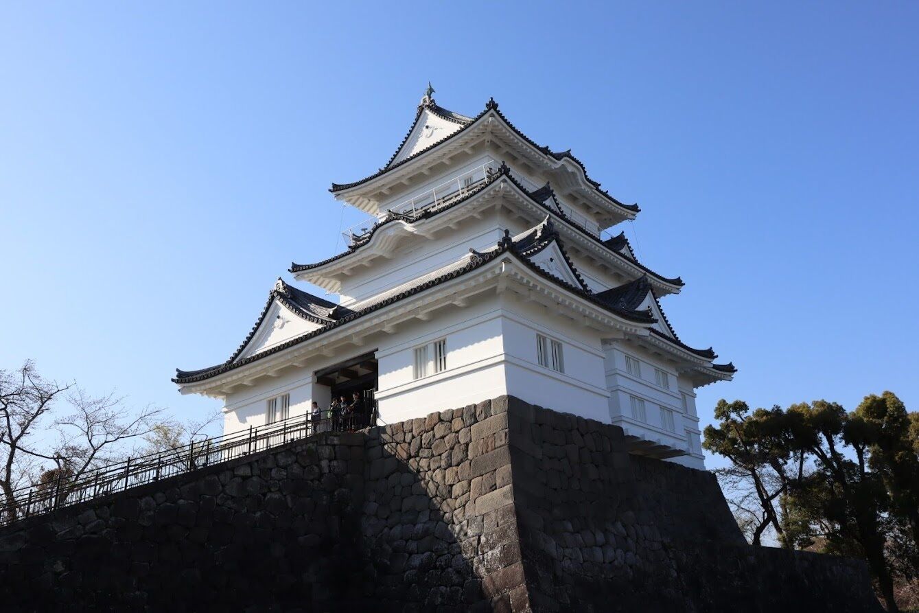 エコツアー