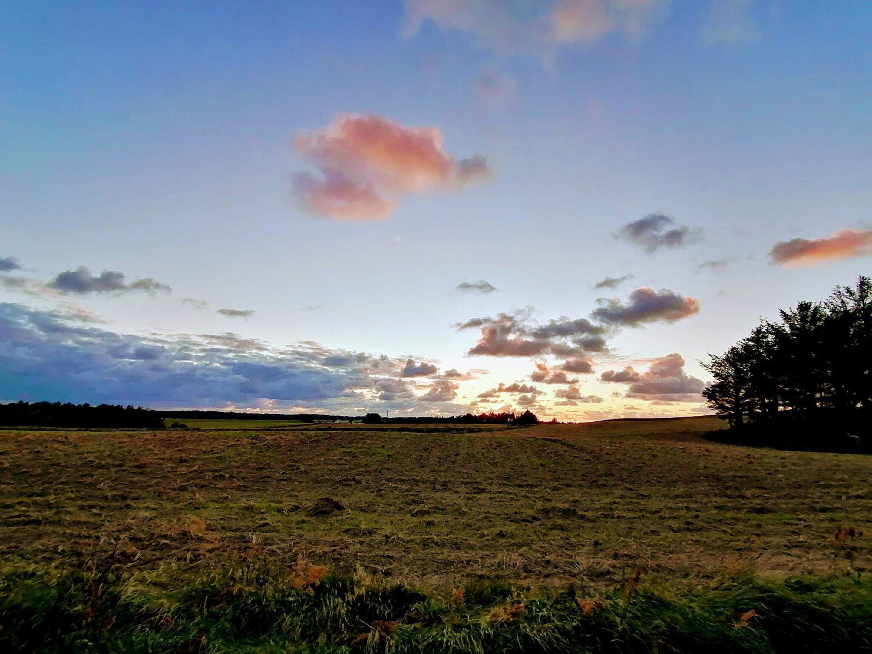 Un vaste champ à perte de vue, sous un ciel dégagé parsemé de quelques nuages.