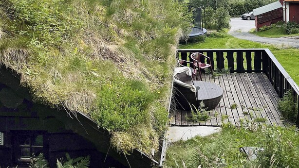 Une terrasse en bois offrant une vue sur une colline verdoyante et, au loin, sur un bâtiment rouge.