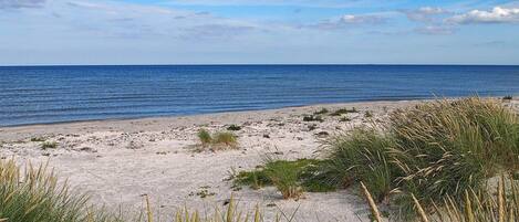 ハウス | 施設からの眺望