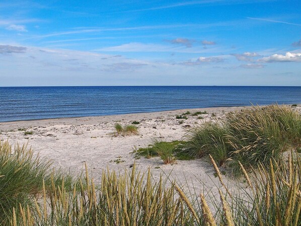House | View from property - 8 Person Holiday Home in Laeso (Læsø)