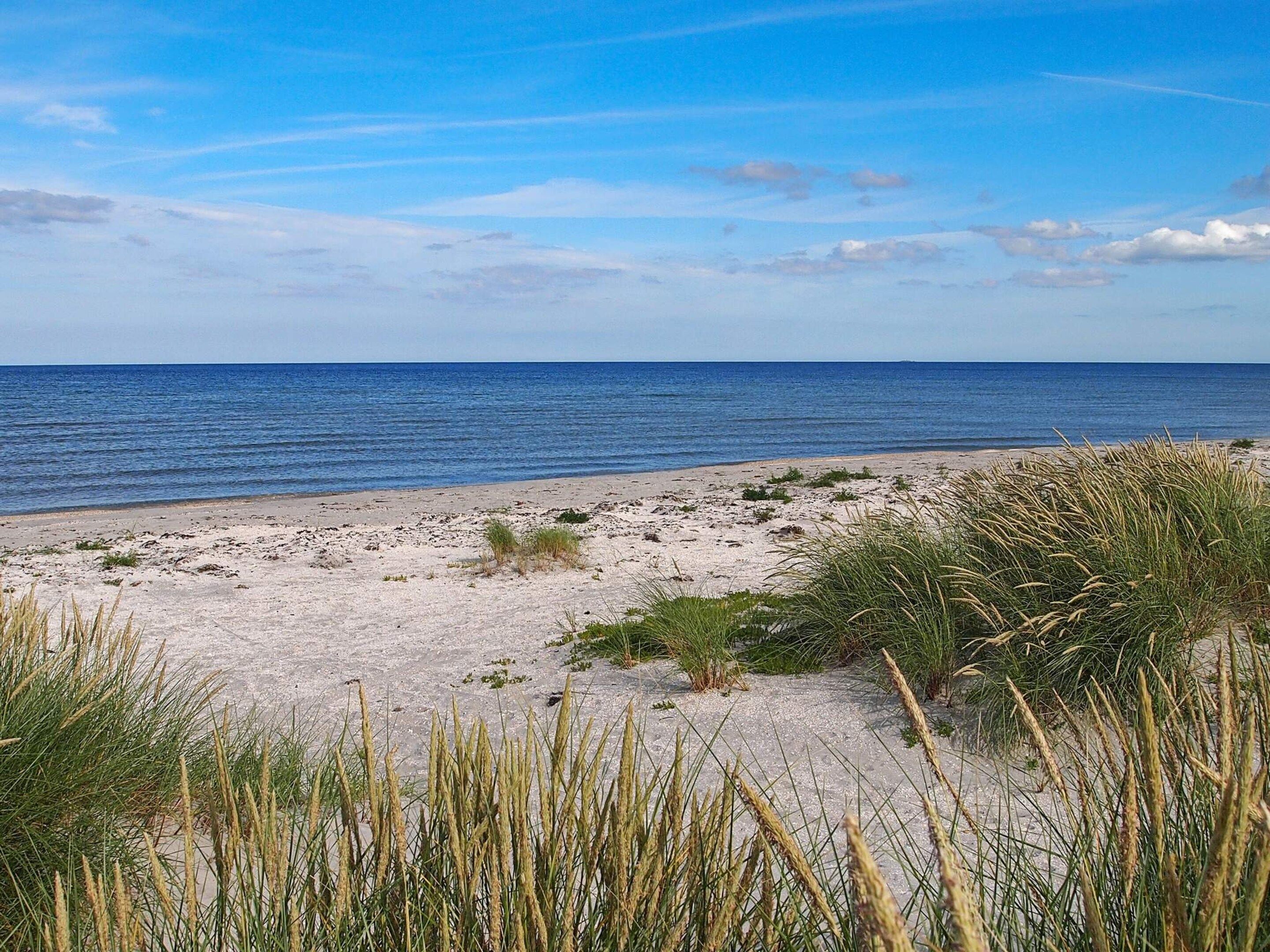 A beach with sand and sparse vegetation.