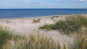 En strand med sand och gles vegetation.