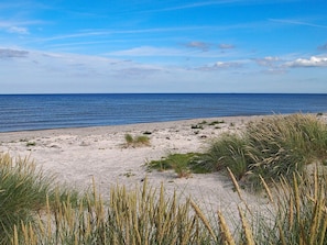 A beach with sand and sparse vegetation. - 4 Star Holiday Home in Laeso (Læsø)