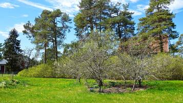 A grassy field with trees and a building in the background.
