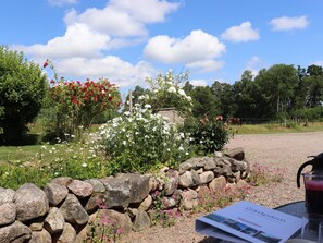Uklassifisert bilde, 4 av 31, knapp