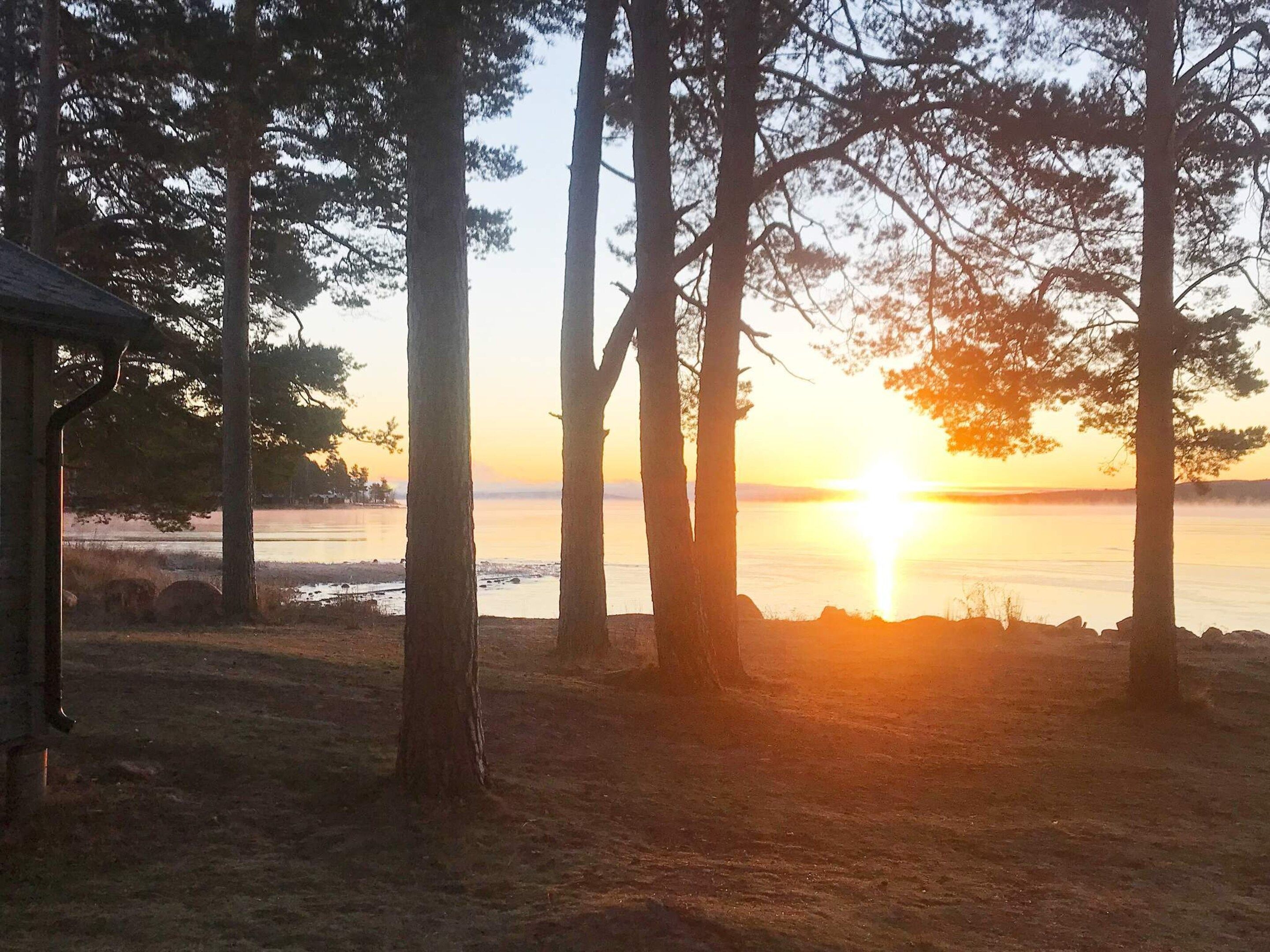 A natural landscape with trees and a body of water during sunset.