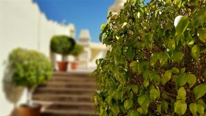 Eine Treppe führt zu einem Gebäude, auf dessen Spitze Kübelpflanzen stehen.