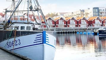 House | View from property