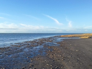 En strand med våt sand och tång, en klar himmel och en avlägsen horisont.