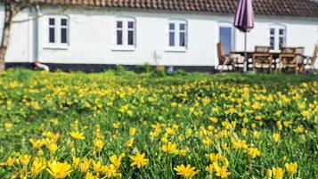A white building with a tiled roof, a purple umbrella, and a field of yellow flowers.